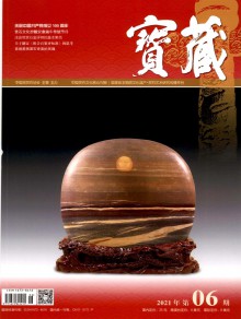 探秘宝藏杂志 期刊出版的独特价值与时代挑战